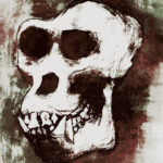 ol-gorilla-bones-x-the-dirty-sample-revenge-vol-1